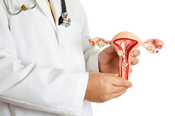 Best Doctor for Fibroid treatment in Bhandup
